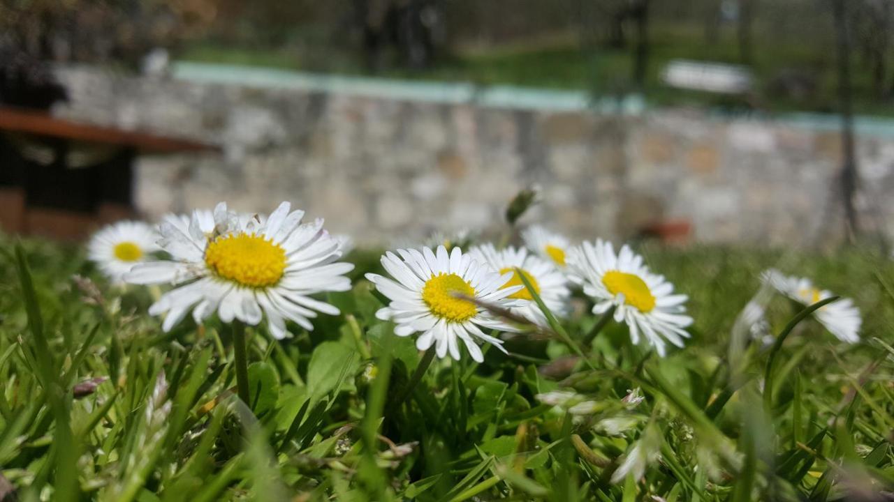 Bed & Breakfast Casa Lisetta Valtopina Exterior foto