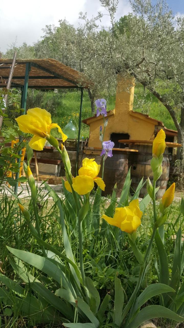 Bed & Breakfast Casa Lisetta Valtopina Exterior foto